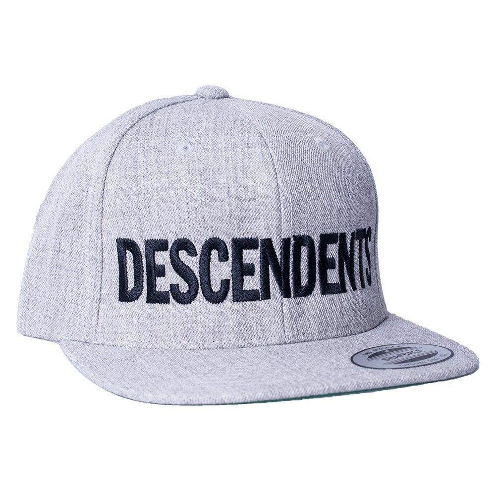Descendents (Logo Grey) Snapback Cap